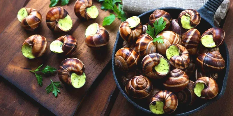 Giải mã mơ thấy con ốc đánh số gì?